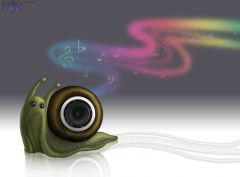 Sound Snail
