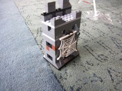 IMG 6981