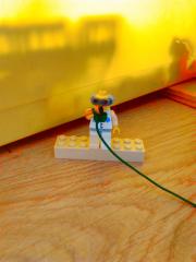 IMG_20160617_150414.jpg