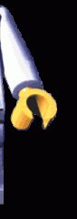 sp_profess2.gif