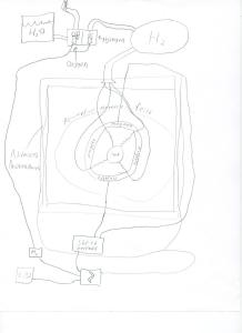 Fusion reactor sketch