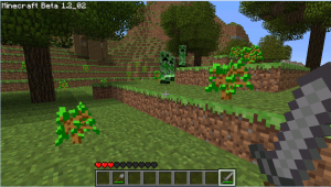 Fun in minecraft