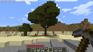 My awesome tree.
