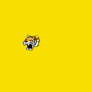 Tiger.png